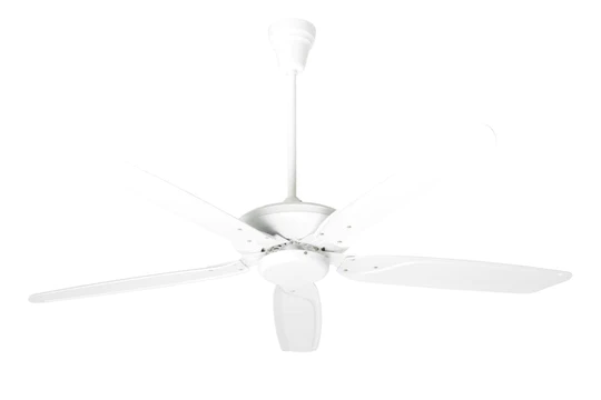 Vector WH Ceiling Fan